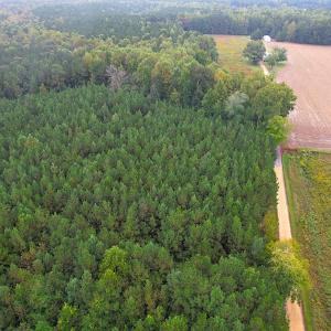 Photo #4 of SOLD property in Off Wakefield Rd. , Sedley, VA 14.1 acres