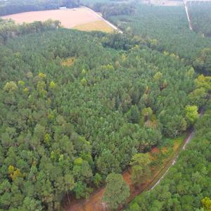 Photo #5 of SOLD property in Off Wakefield Rd. , Sedley, VA 14.1 acres