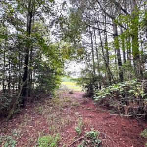 Photo #17 of SOLD property in Off Wakefield Rd. , Sedley, VA 14.1 acres