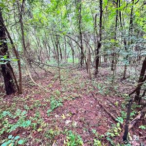 Photo #18 of SOLD property in Off Wakefield Rd. , Sedley, VA 14.1 acres