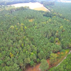 Photo #21 of SOLD property in Off Wakefield Rd. , Sedley, VA 14.1 acres