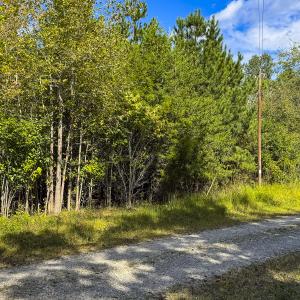 Photo #4 of SOLD property in Lot-6, Off Wilson Road, Providence, NC 3.0 acres