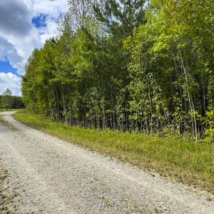 Photo #8 of SOLD property in Lot-6, Off Wilson Road, Providence, NC 3.0 acres
