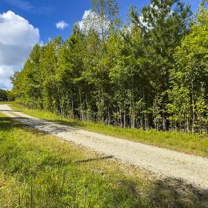 Photo #12 of SOLD property in Lot-6, Off Wilson Road, Providence, NC 3.0 acres