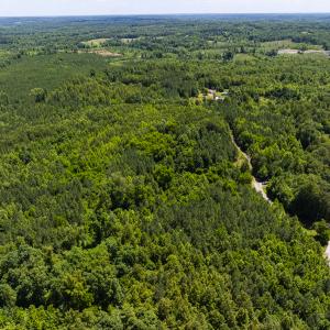 Photo #14 of SOLD property in Lot-6, Off Wilson Road, Providence, NC 3.0 acres