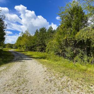 Photo #16 of SOLD property in Lot-6, Off Wilson Road, Providence, NC 3.0 acres