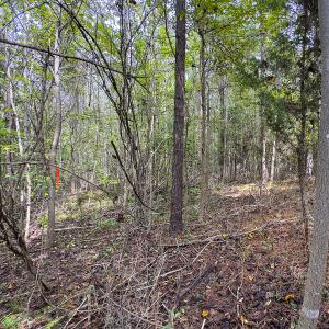 Photo #20 of SOLD property in Lot-6, Off Wilson Road, Providence, NC 3.0 acres