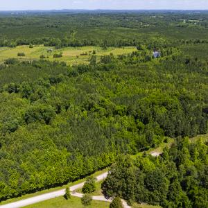 Photo #22 of SOLD property in Lot-6, Off Wilson Road, Providence, NC 3.0 acres