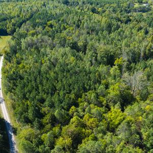 Photo #29 of SOLD property in Lot-6, Off Wilson Road, Providence, NC 3.0 acres