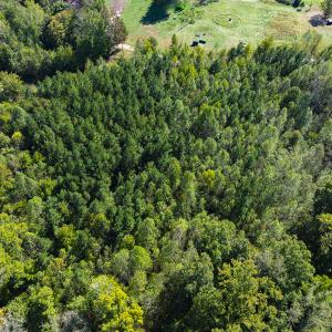 Photo #31 of SOLD property in Lot-6, Off Wilson Road, Providence, NC 3.0 acres