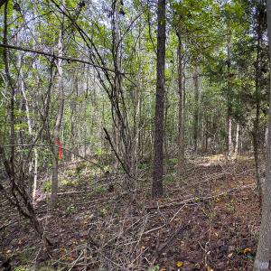 Photo #33 of SOLD property in Lot-6, Off Wilson Road, Providence, NC 3.0 acres