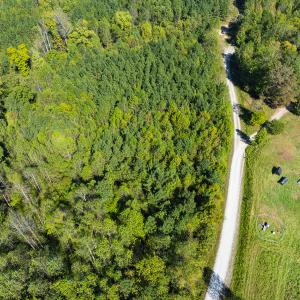 Photo #34 of SOLD property in Lot-6, Off Wilson Road, Providence, NC 3.0 acres