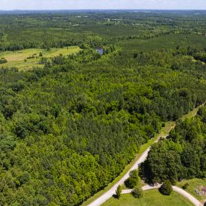 Photo #35 of SOLD property in Lot-6, Off Wilson Road, Providence, NC 3.0 acres