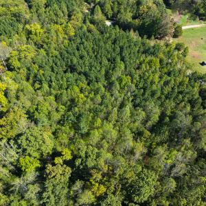 Photo #37 of SOLD property in Lot-6, Off Wilson Road, Providence, NC 3.0 acres