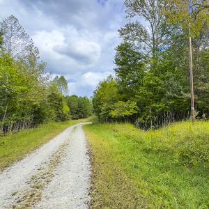 Photo #4 of SOLD property in Lot-9, Off Wilson Road, Providence, NC 3.8 acres