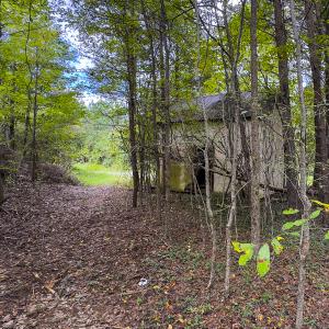 Photo #6 of SOLD property in Lot-9, Off Wilson Road, Providence, NC 3.8 acres