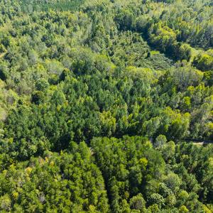 Photo #7 of SOLD property in Lot-9, Off Wilson Road, Providence, NC 3.8 acres