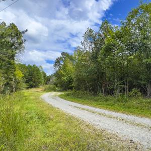 Photo #9 of SOLD property in Lot-9, Off Wilson Road, Providence, NC 3.8 acres
