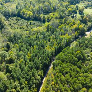 Photo #14 of SOLD property in Lot-9, Off Wilson Road, Providence, NC 3.8 acres