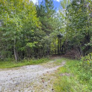 Photo #16 of SOLD property in Lot-9, Off Wilson Road, Providence, NC 3.8 acres
