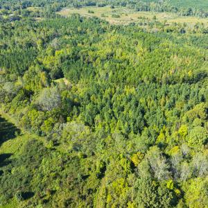 Photo #20 of SOLD property in Lot-9, Off Wilson Road, Providence, NC 3.8 acres