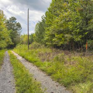 Photo #22 of SOLD property in Lot-9, Off Wilson Road, Providence, NC 3.8 acres