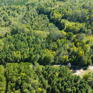 Photo #23 of SOLD property in Lot-9, Off Wilson Road, Providence, NC 3.8 acres
