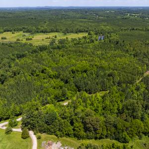 Photo #25 of SOLD property in Lot-9, Off Wilson Road, Providence, NC 3.8 acres