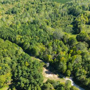 Photo #27 of SOLD property in Lot-9, Off Wilson Road, Providence, NC 3.8 acres