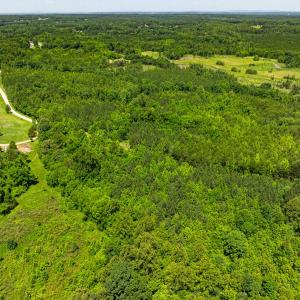 Photo #31 of SOLD property in Lot-9, Off Wilson Road, Providence, NC 3.8 acres