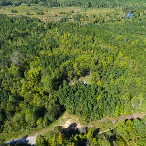 Photo #2 of SOLD property in Lot-7, Off  Wilson Road, Providence, NC 10.0 acres