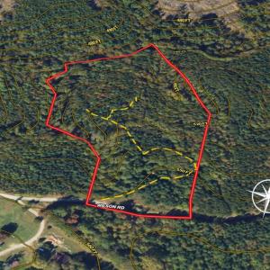 Photo #3 of SOLD property in Lot-7, Off  Wilson Road, Providence, NC 10.0 acres