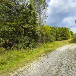 Photo #4 of SOLD property in Lot-7, Off  Wilson Road, Providence, NC 10.0 acres