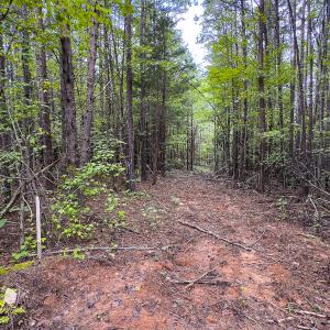Photo #6 of SOLD property in Lot-7, Off  Wilson Road, Providence, NC 10.0 acres