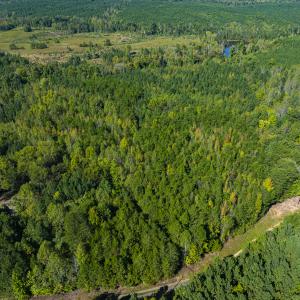 Photo #7 of SOLD property in Lot-7, Off  Wilson Road, Providence, NC 10.0 acres