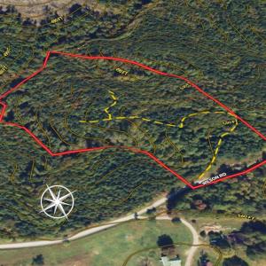 Photo #8 of SOLD property in Lot-7, Off  Wilson Road, Providence, NC 10.0 acres