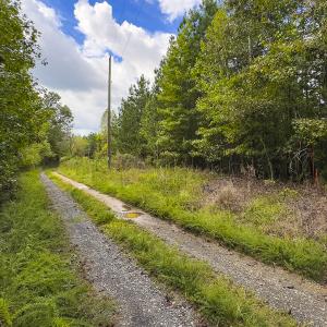 Photo #9 of SOLD property in Lot-7, Off  Wilson Road, Providence, NC 10.0 acres