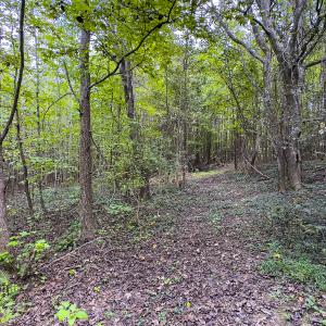 Photo #11 of SOLD property in Lot-7, Off  Wilson Road, Providence, NC 10.0 acres