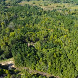 Photo #12 of SOLD property in Lot-7, Off  Wilson Road, Providence, NC 10.0 acres
