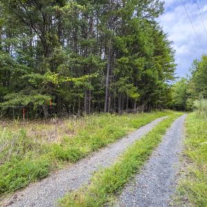 Photo #14 of SOLD property in Lot-7, Off  Wilson Road, Providence, NC 10.0 acres