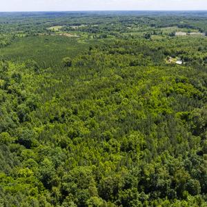 Photo #16 of SOLD property in Lot-7, Off  Wilson Road, Providence, NC 10.0 acres