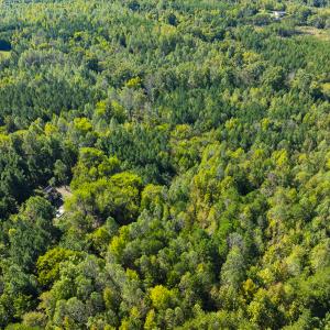 Photo #18 of SOLD property in Lot-7, Off  Wilson Road, Providence, NC 10.0 acres