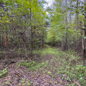 Photo #20 of SOLD property in Lot-7, Off  Wilson Road, Providence, NC 10.0 acres