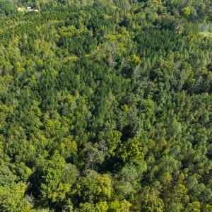 Photo #23 of SOLD property in Lot-7, Off  Wilson Road, Providence, NC 10.0 acres
