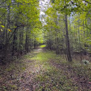Photo #25 of SOLD property in Lot-7, Off  Wilson Road, Providence, NC 10.0 acres