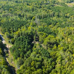 Photo #27 of SOLD property in Lot-7, Off  Wilson Road, Providence, NC 10.0 acres