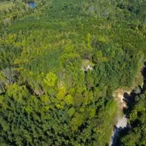 Photo #29 of SOLD property in Lot-7, Off  Wilson Road, Providence, NC 10.0 acres