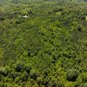 Photo #31 of SOLD property in Lot-7, Off  Wilson Road, Providence, NC 10.0 acres
