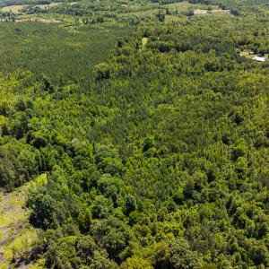 Photo #37 of SOLD property in Lot-7, Off  Wilson Road, Providence, NC 10.0 acres