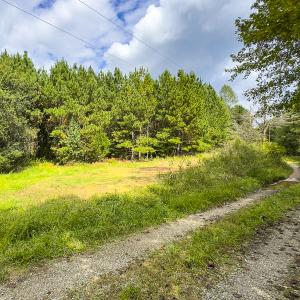 Photo #38 of SOLD property in Lot-7, Off  Wilson Road, Providence, NC 10.0 acres